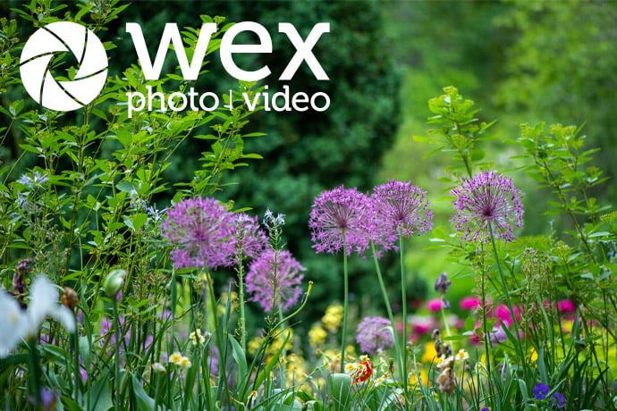 There are hundreds of wildlife photography opportunities hiding in plain sight, in our gardens and local habitats. You just need to know where to look and how to encourage wildlife to visit.