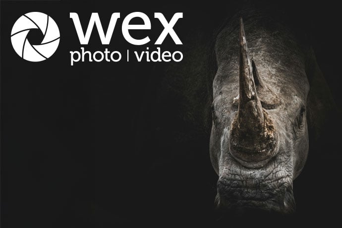 In this guide, we’ll explore wildlife photography tips and tricks to elevate your shooting, with insights from professional wildlife photographer Tom Mason.