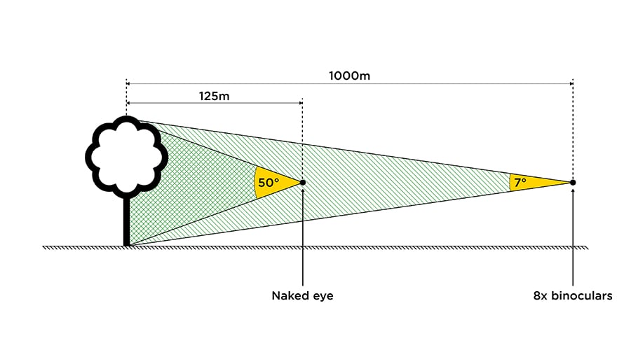 diagram explaining the differences in angle of view