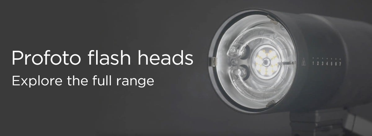 Profoto Flash Heads