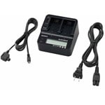 Sony Video Batteries and Power
